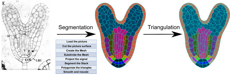 Figure 1—figure supplement 1.