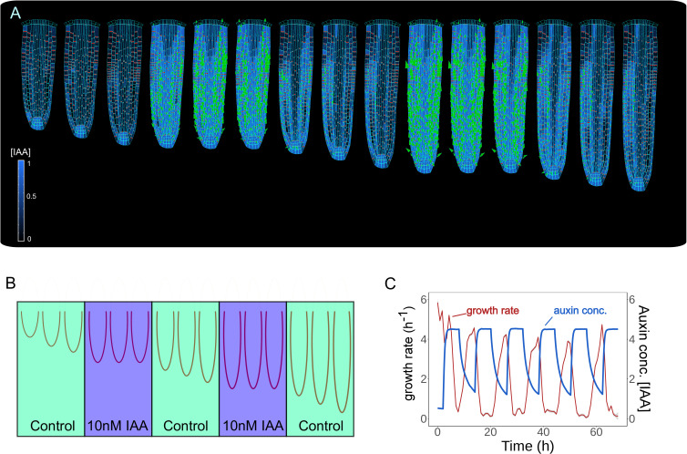 Figure 4.