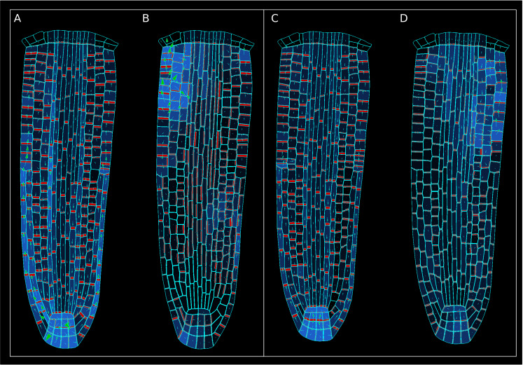 Figure 2—figure supplement 7.