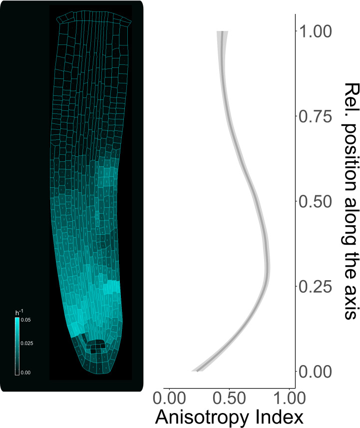 Figure 2—figure supplement 4.