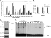 FIG. 6.