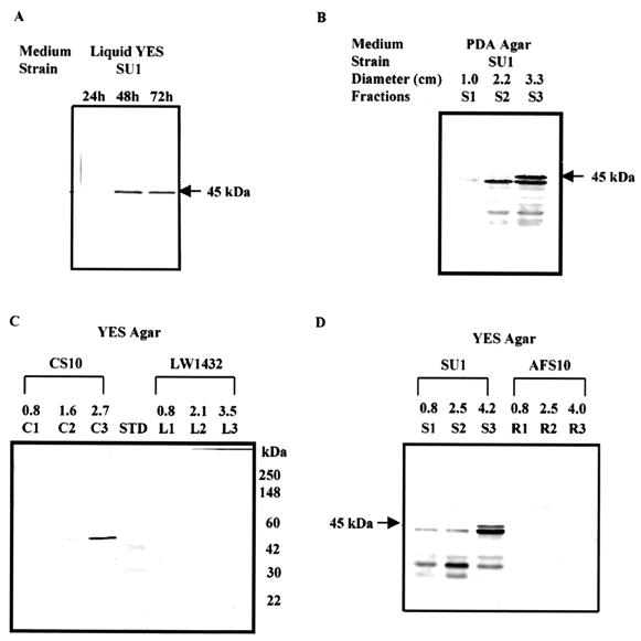 FIG. 5.