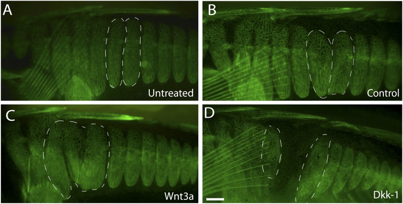 Figure 5.