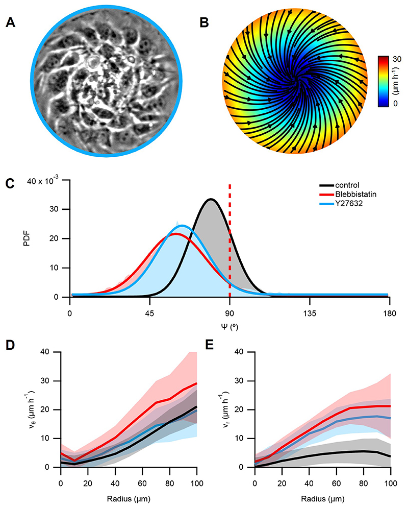 Extended Data Figure. 4