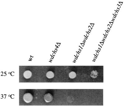 FIG. 9