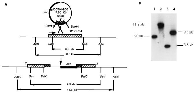 FIG. 4