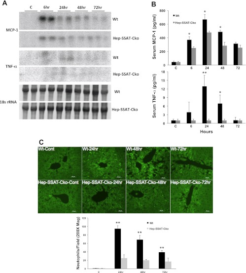 Fig. 11.