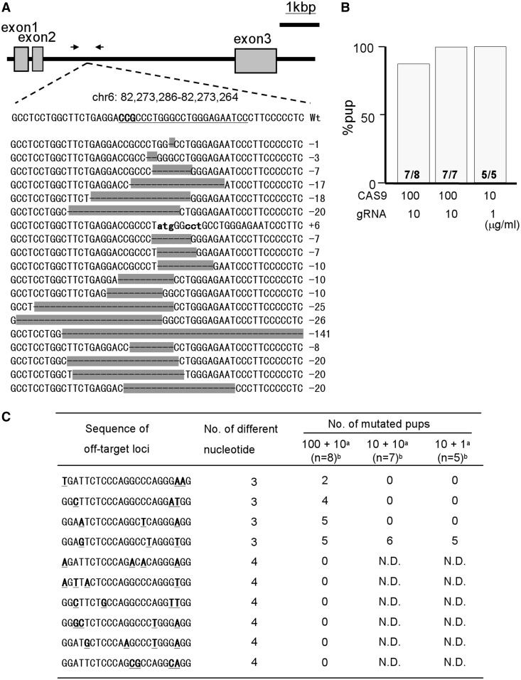 Figure 2.