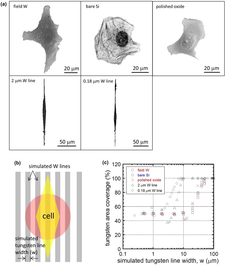 Figure 11.