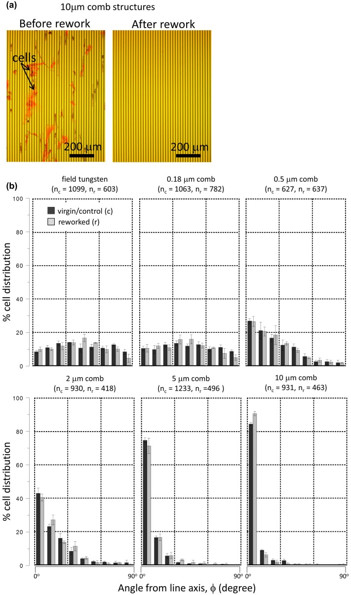 Figure 12.