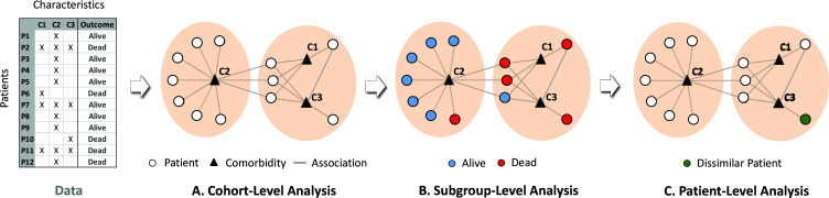 Fig. 1.