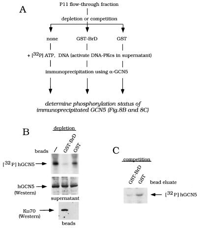 FIG. 8