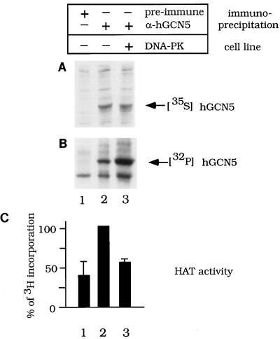 FIG. 9