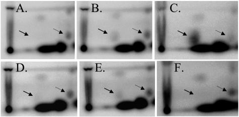 FIG. 2.