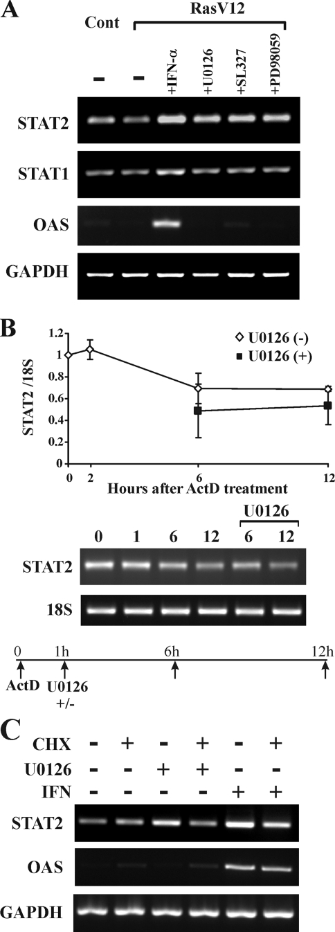 FIG. 8.