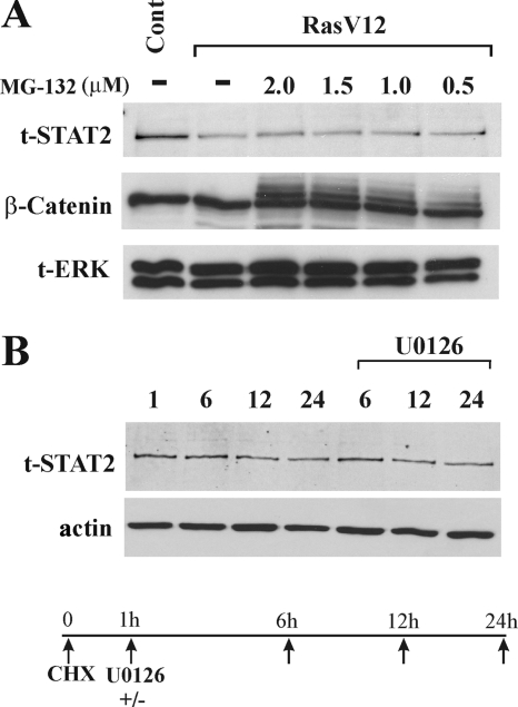 FIG. 7.