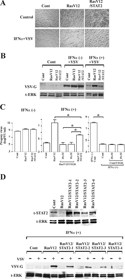 FIG. 6.