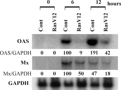 FIG. 1.