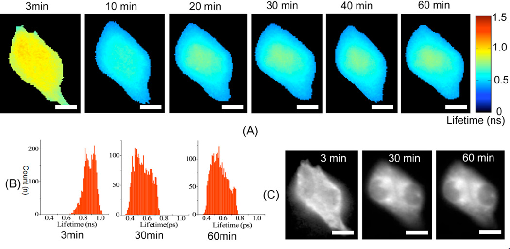 Fig. 3