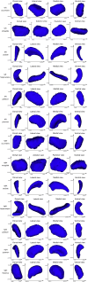 Supplementary Fig. 2