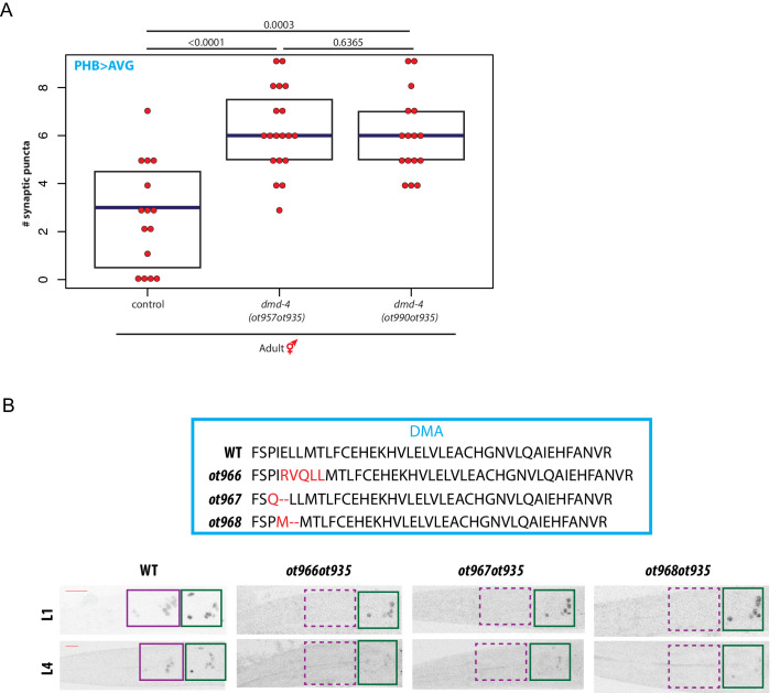 Figure 7—figure supplement 2.