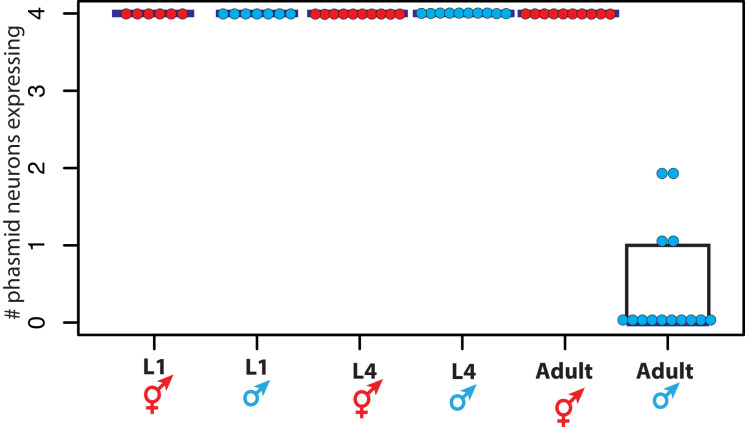 Figure 1—figure supplement 1.