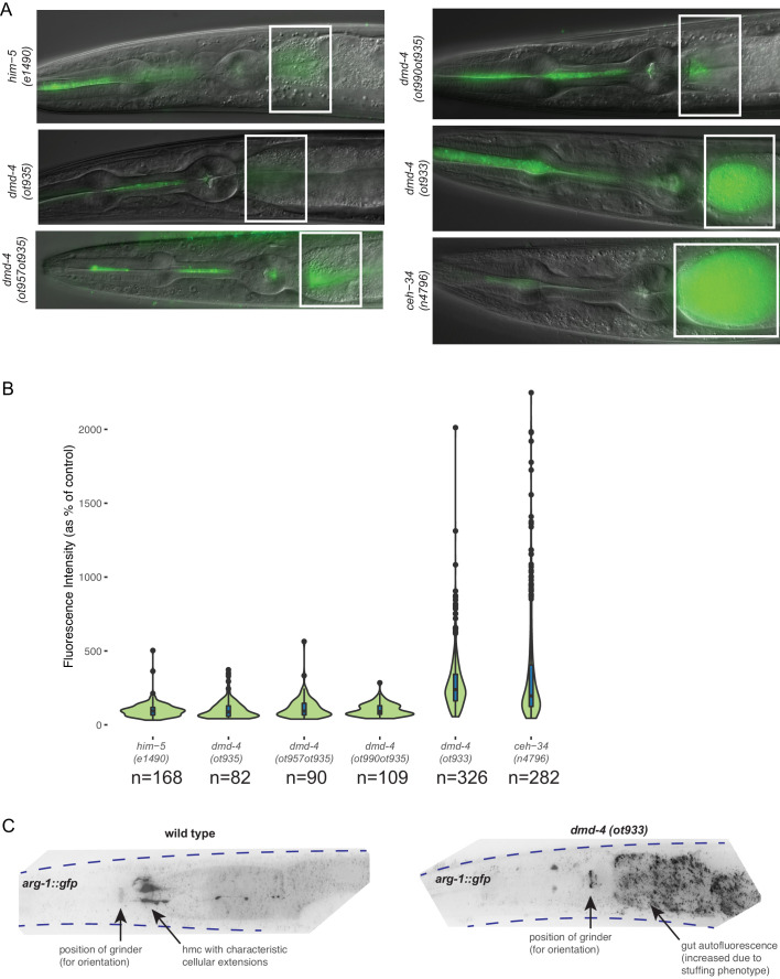 Figure 2—figure supplement 1.