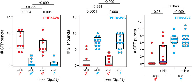 Figure 3—figure supplement 1.