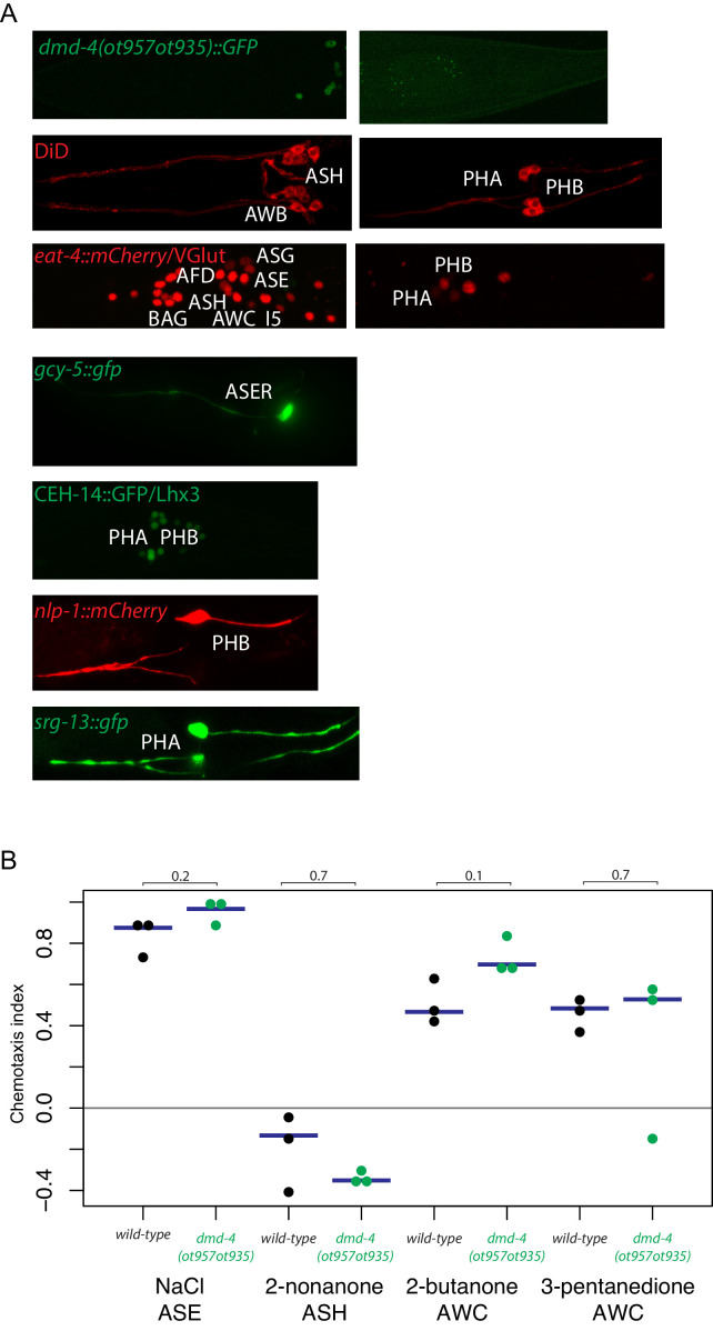 Figure 2—figure supplement 2.