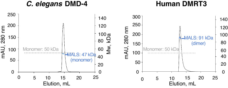 Figure 7—figure supplement 1.