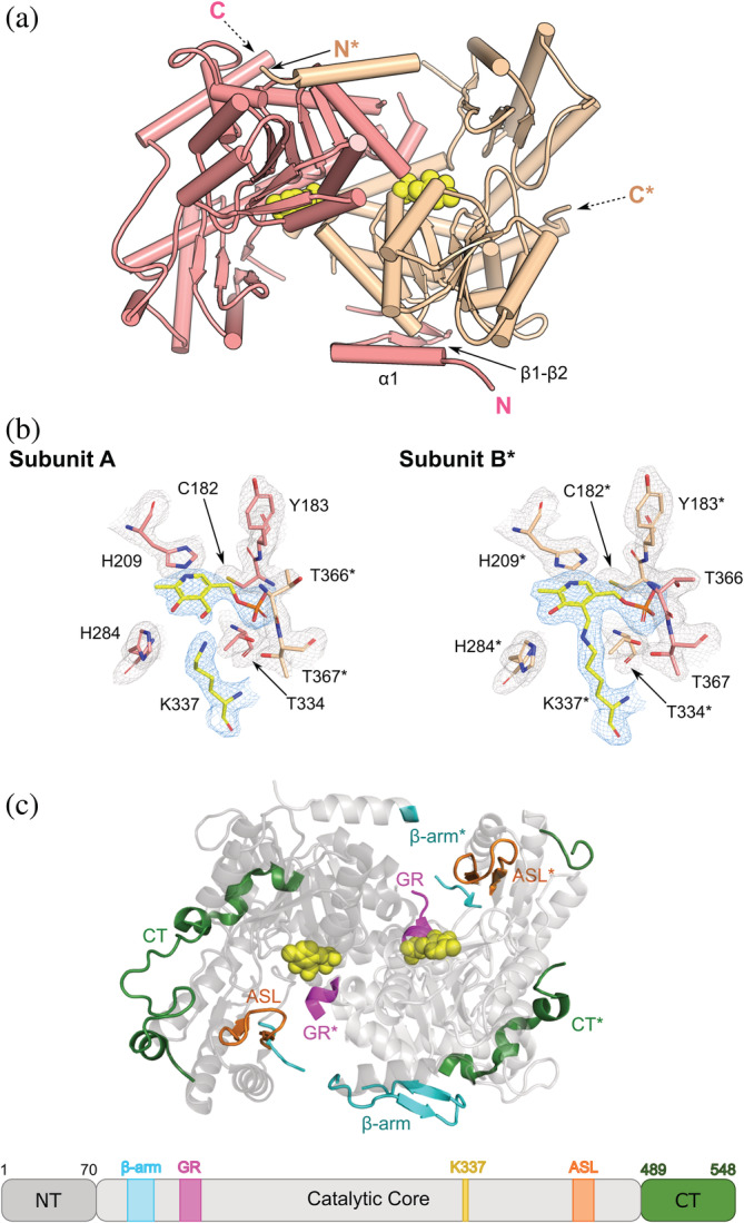 FIGURE 3