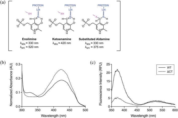 FIGURE 1