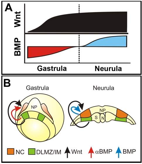 Fig. 8.