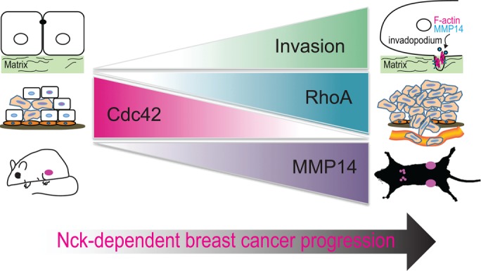 FIGURE 9: