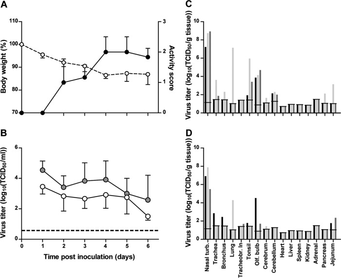 FIG 4 