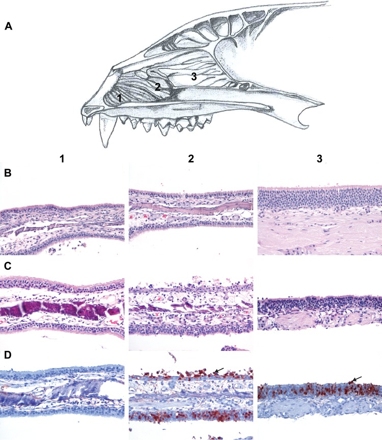 FIG 5 