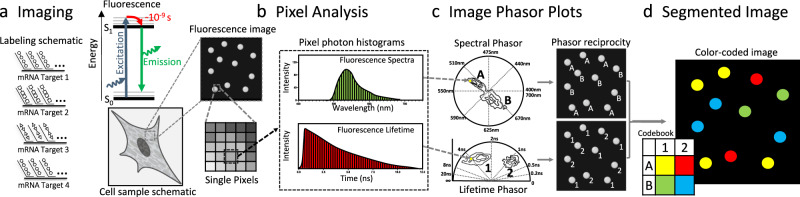 Fig. 2