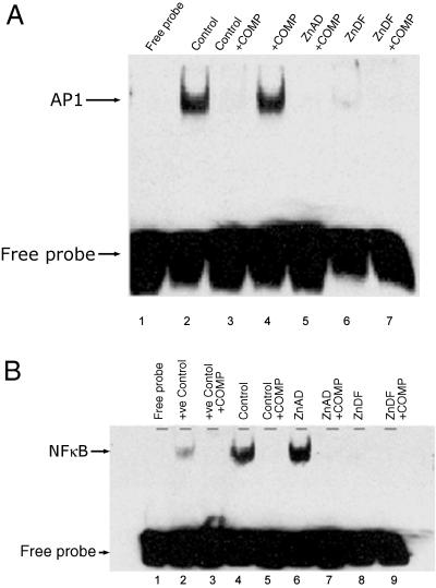 Fig 6.