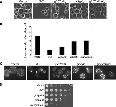 FIGURE 6.