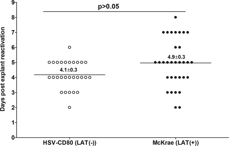 FIG 5