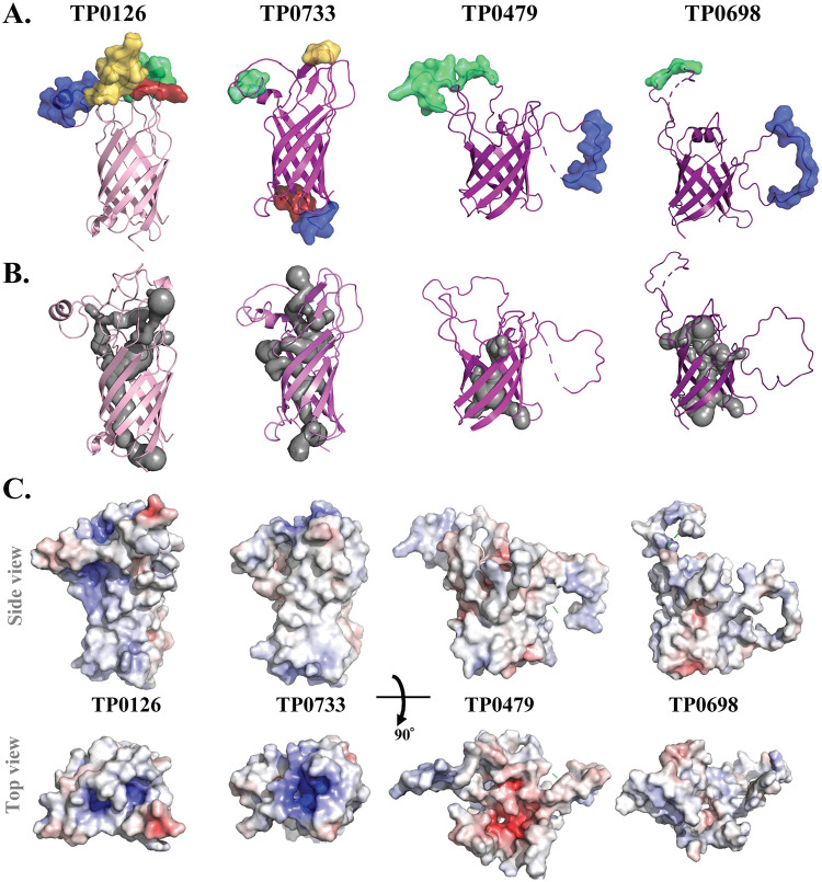 FIG 3