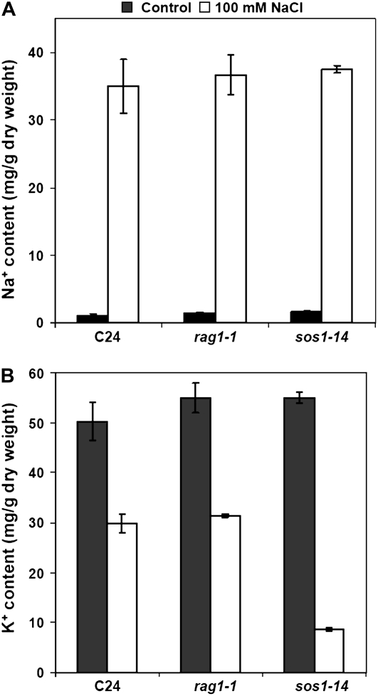 Figure 5.