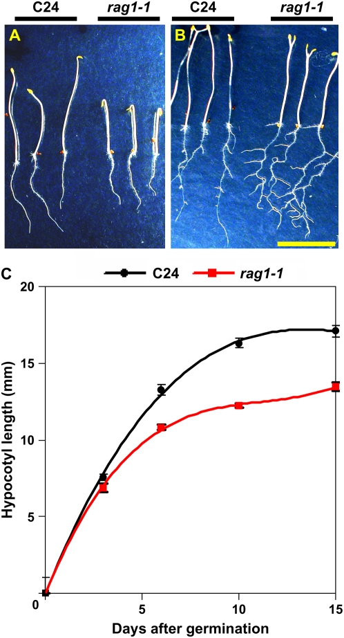 Figure 7.