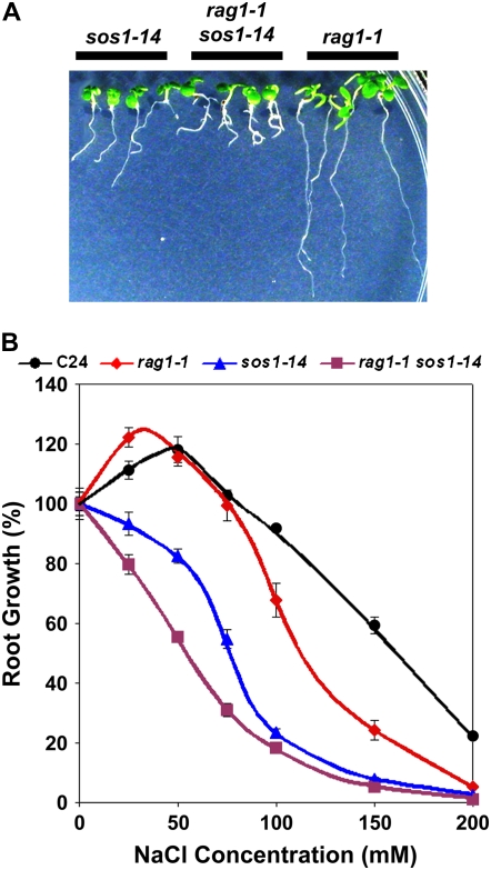 Figure 6.