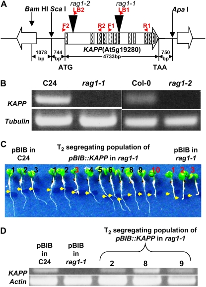 Figure 3.