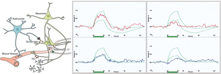 Figure 2