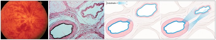 Figure 10