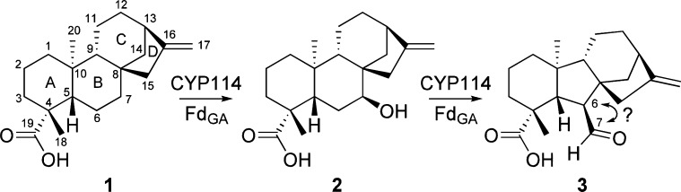 Scheme 1