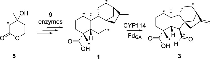 Scheme 2