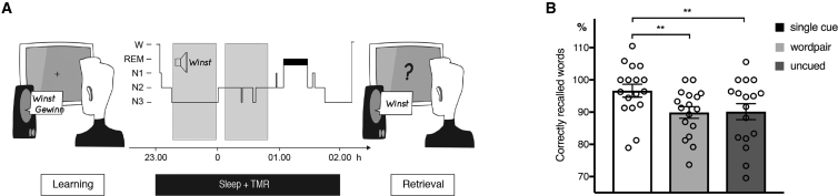 Figure 1